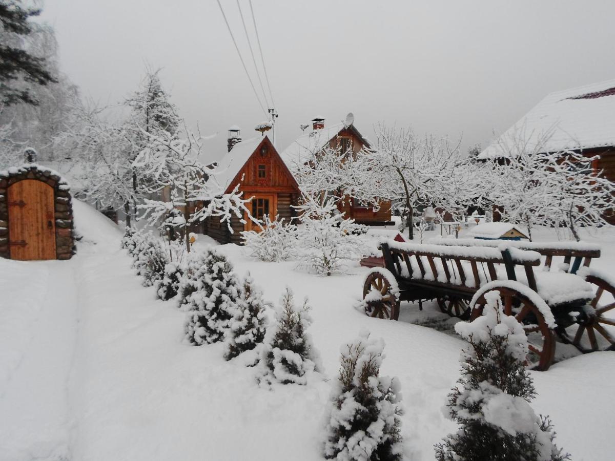 Agrousad'Ba Okolitsa Hotel Shchibri Luaran gambar